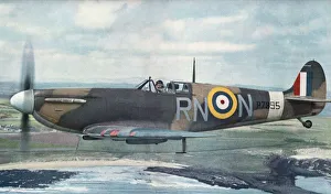 Mark Collection: Supermarine Spitfire 2 / II