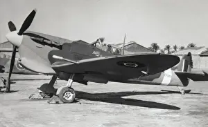 Warbird Prints: Supermarine Spitfire 5 / V