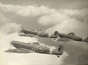 Supermarine Spitfire 5 / V