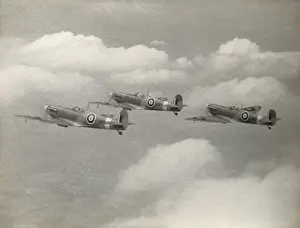 Supermarine Spitfire 5 / V