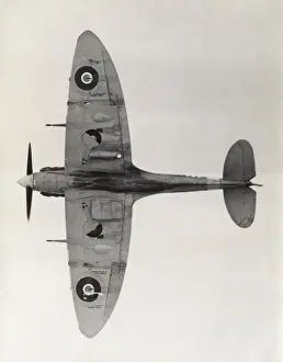 Supermarine Spitfire 5B / VB