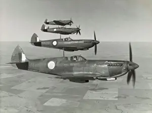 Spitfires Prints: Supermarine Spitfire 8 / VIII