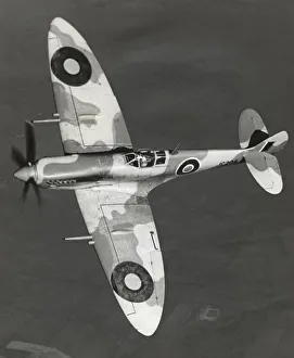 Supermarine Spitfire 8 / VIII