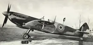 Supermarine Spitfire 9 / IX