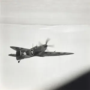 Supermarine Spitfire 9 / IX