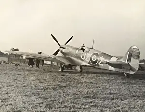Spitfires Prints: Supermarine Spitfire 9 / IX