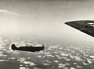 Supermarine Spitfire 9 / IX