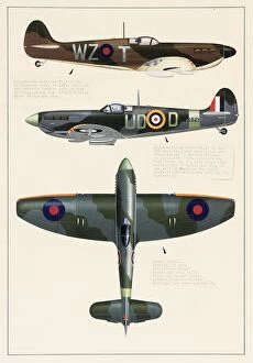 1940s Gallery: Supermarine Spitfire and Hawker Tempest aeroplanes