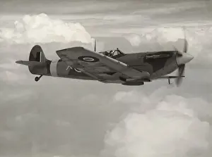 Spitfires Prints: Supermarine Spitfire LF-5B / LF-VB