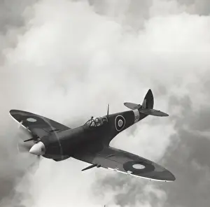 Spitfires Prints: Supermarine Spitfire LF-8 / VIII