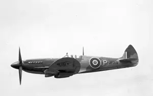 Griffon Prints: Supermarine Spitfire VIII JF318 after conversion to a XIV