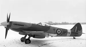 Withdrawn Prints: Supermarine Spitfire XIV MV259