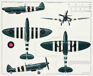 Ww Ii Collection: Supermarine Type 365 Spitfire aeroplane