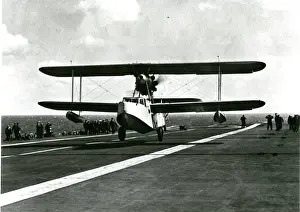 Supermarine Walrus