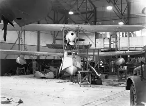 Walrus Prints: Supermarine Walrus II