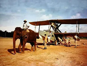 Supermarine Prints: Supermarine Walrus -seen being towed by elephant
