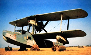 Tunisia Gallery: Supermarine Walrus -the standard Royal Navy catapult ai