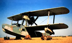 Supermarine Prints: Supermarine Walrus -the standard Royal Navy catapult ai