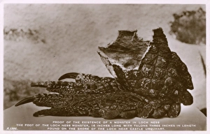 Images Dated 19th May 2017: Supposed foot of the Loch Ness Monster, Castle Urquhart