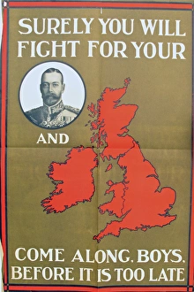 Surely Gallery: Surely you Will Fight for you King and Country