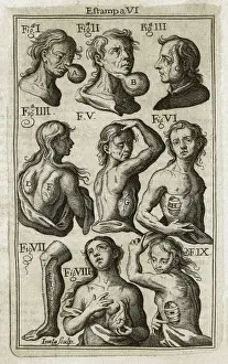 SUREZ de RIBERA, Francisco (s. XVIII). Spanish