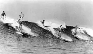 Boards Prints: Surf riders near San Clemente, California, USA