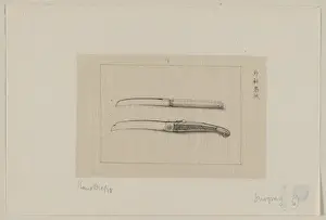 Surgery scalpels