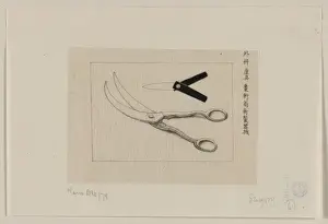 Lancet Prints: Surgery scissors and lancet
