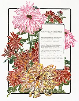 Applied Prints: Surrounded by chrysanthemums. Date: 1903