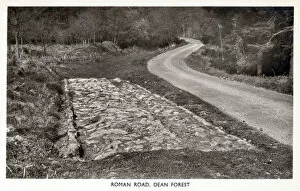 Images Dated 2nd September 2019: A surviving section of Roman Road in the Forest of Dean