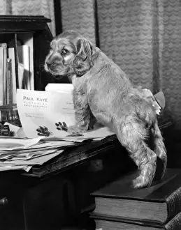 Susi - with books and papers