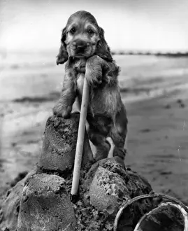 Susi - building a sandcastle