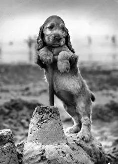 Susi - building a sandcastle