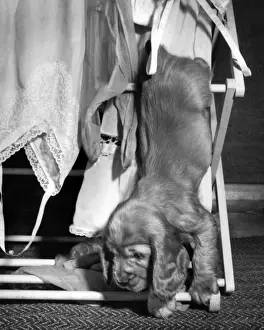 Susi - with clothes horse