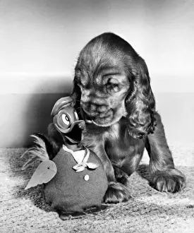 Susi - with Donald Duck toy