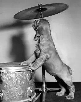 Susi - with drum and cymbal