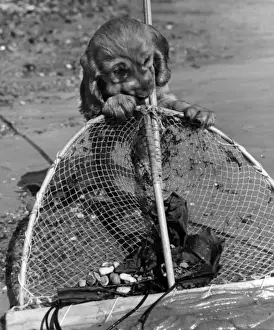 Susi - with fishing net