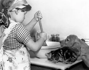Pinafore Gallery: Susi - with girl, mixing bowl and kitten