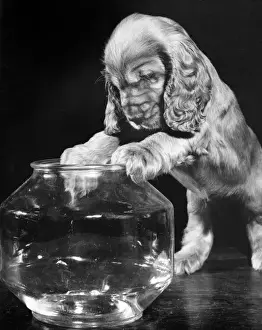 Suzy Prints: Susi - with glass jar