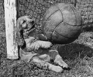 Susi - as goalkeeper