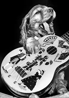Susi - with guitar