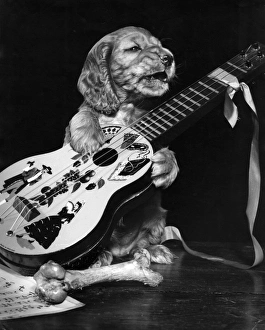 Images Dated 23rd March 2016: Susi - with guitar and bone