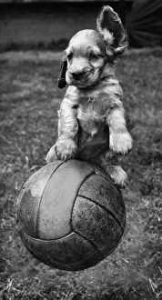 Susi - having fun with a football