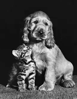 Susi - with kitten