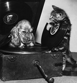 Susi - with kitten and broken record