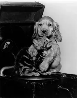 Hugging Prints: Susi - with kitten and record player
