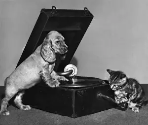 Susi - with kitten and record player