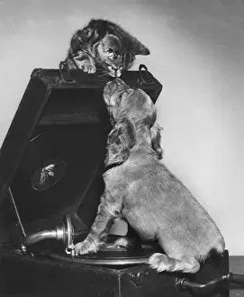 Susi - with kitten and record player
