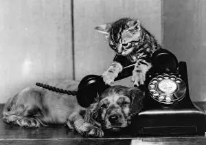 Dial Prints: Susi - with kitten and telephone