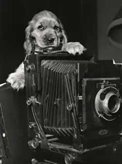 Susi - with large camera